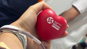 Employees of the "Passenger Company" Branch Join Blood Drive